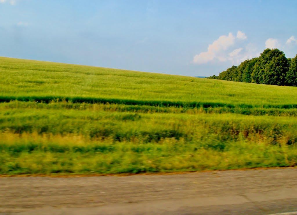 Мурзинці з panoramio.com - Мурзинцы