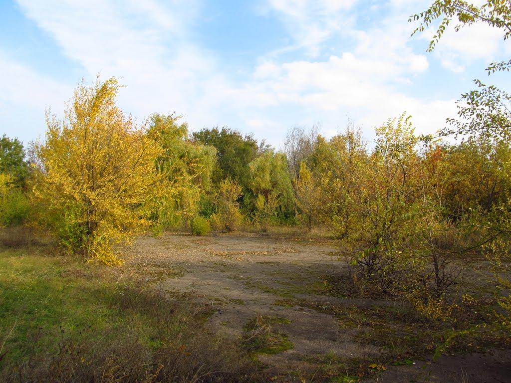 Новоіванівка з panoramio.com - Новоіванівка