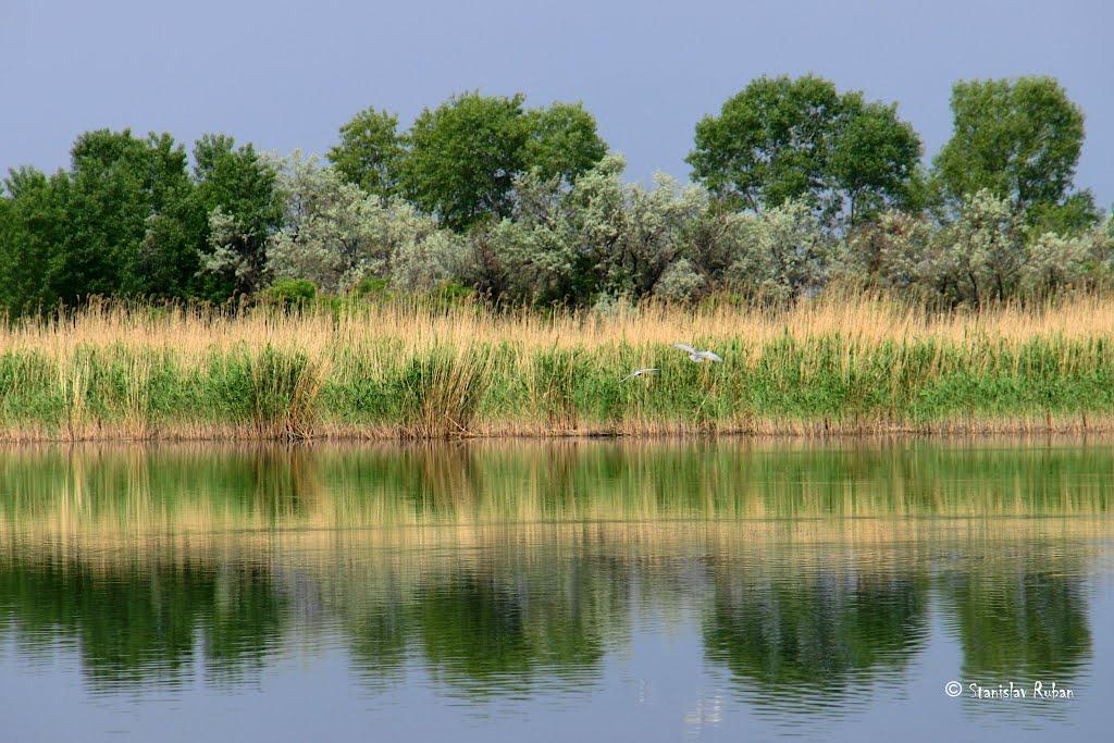 Олександрівка з panoramio.com - Oleksandrivka