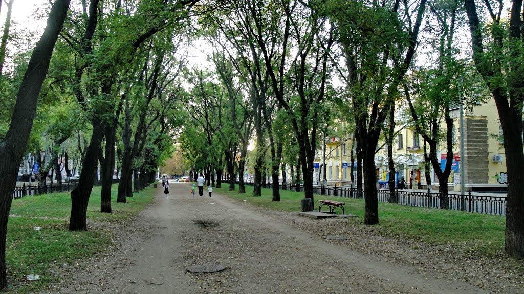 Менжинське з panoramio.com - Менжинское