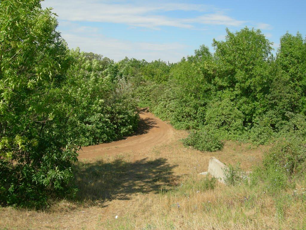 Пересадівка з panoramio.com - Пересадівка