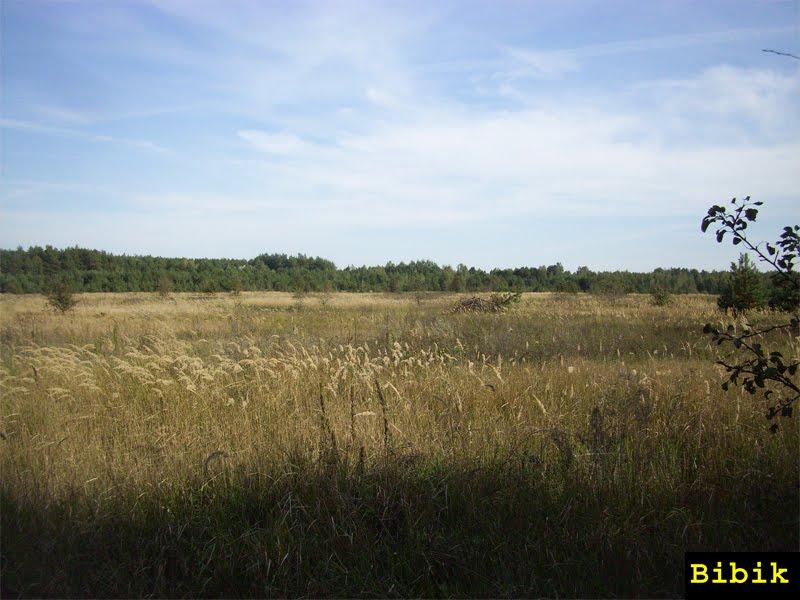 Карпилівка з panoramio.com - Карпиловка