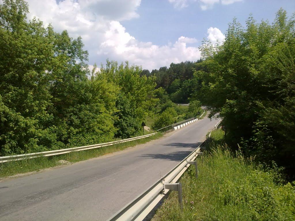 Дем'янківці з panoramio.com - Демьянковцы