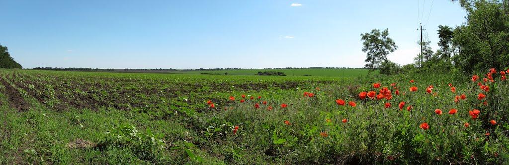 Мар'є-Дмитрівка з panoramio.com - Мар'є-Дмитрівка