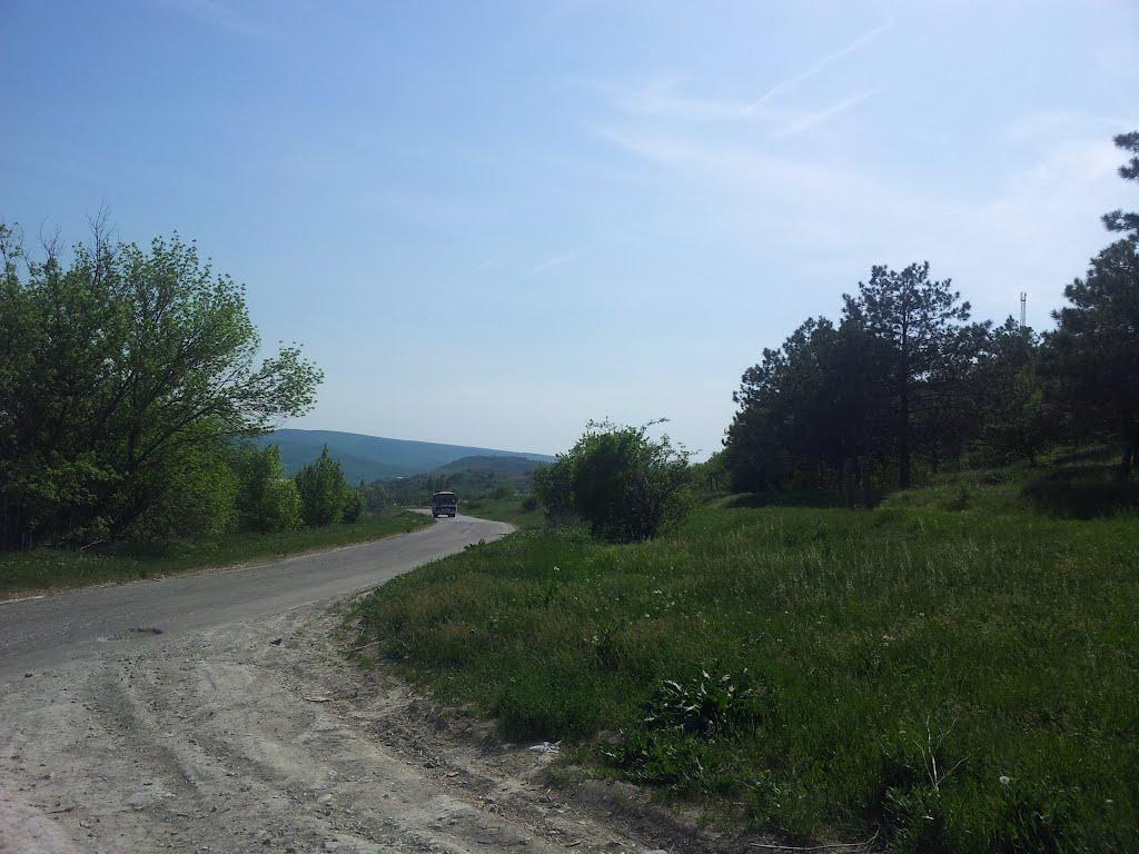 Партизанське з panoramio.com - Партизанське