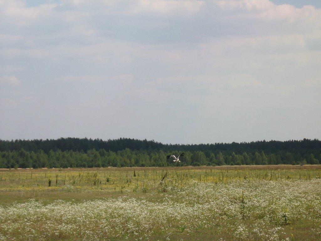 Діброво-Ленінське з panoramio.com - Діброво-Ленінське