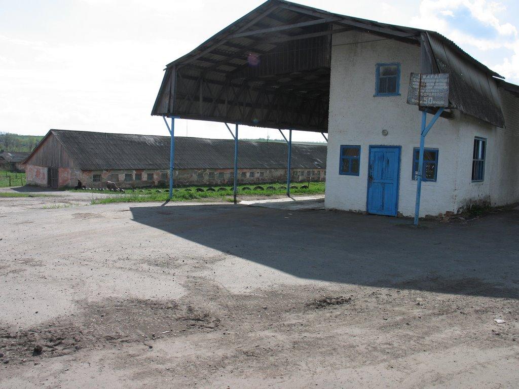 Довгалівка з panoramio.com - Довгалівка