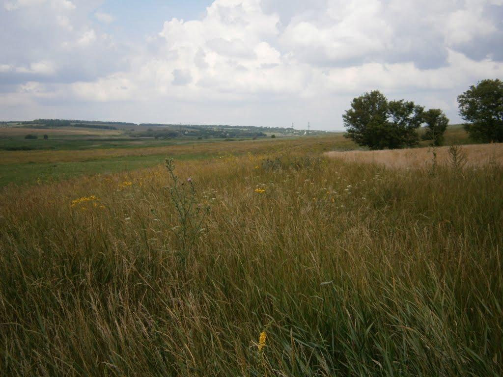 Булацелівка з panoramio.com - Булацелівка