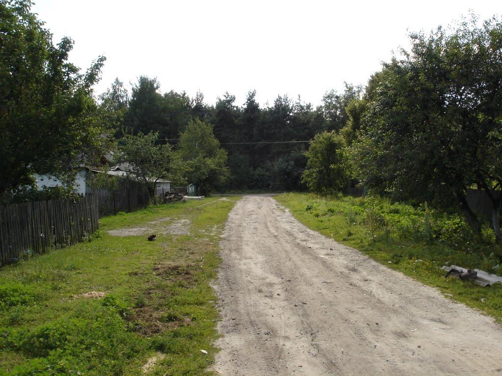 Глушицьке з panoramio.com - Глушицьке