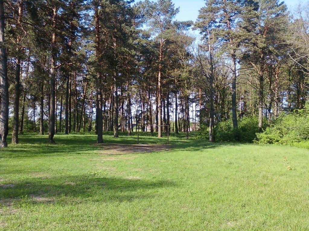 Свеса з panoramio.com - Свесса