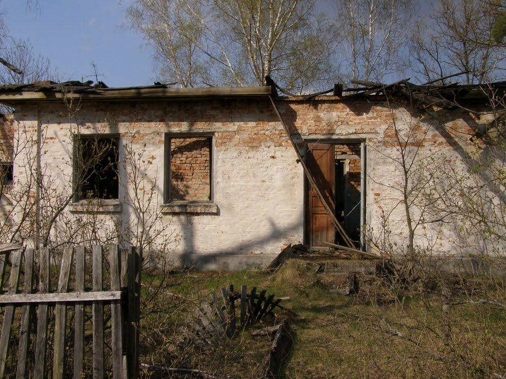 Дитятки з panoramio.com - Дитятки