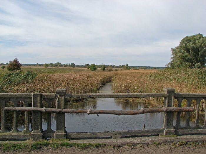 Горошине з panoramio.com - Горошине