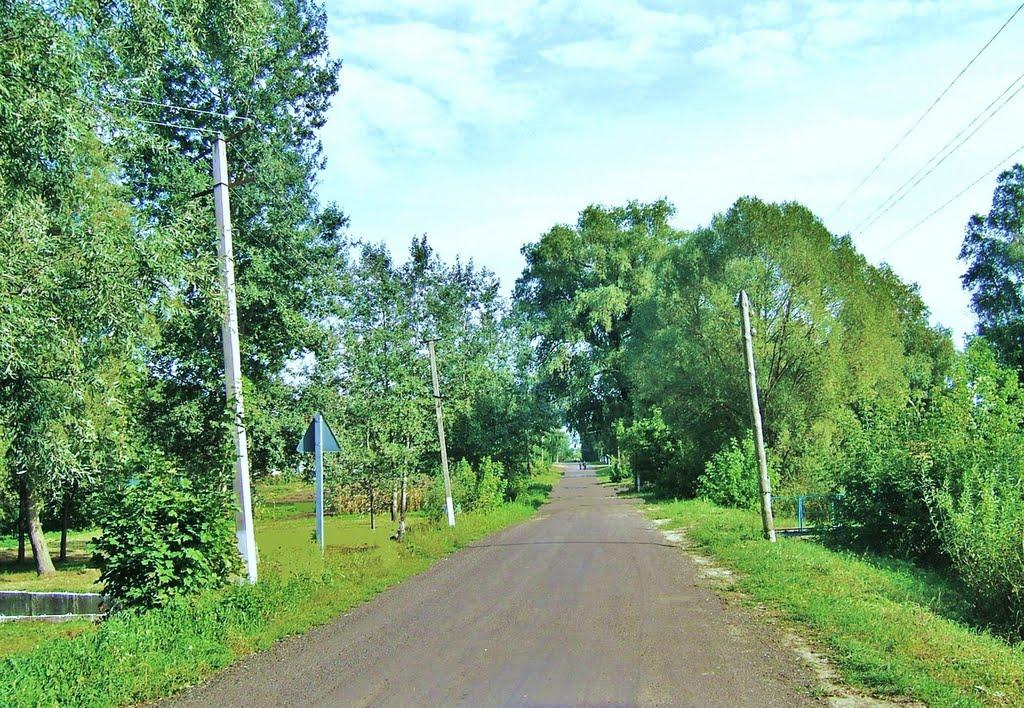 Бурімка з panoramio.com - Буромка