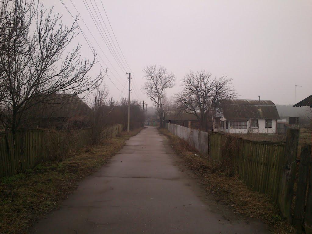 Губичі з panoramio.com - Губичі