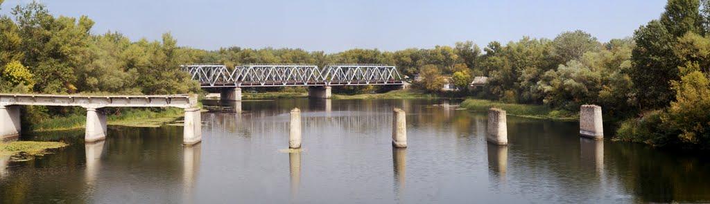 Кияшки з panoramio.com - Кияшки