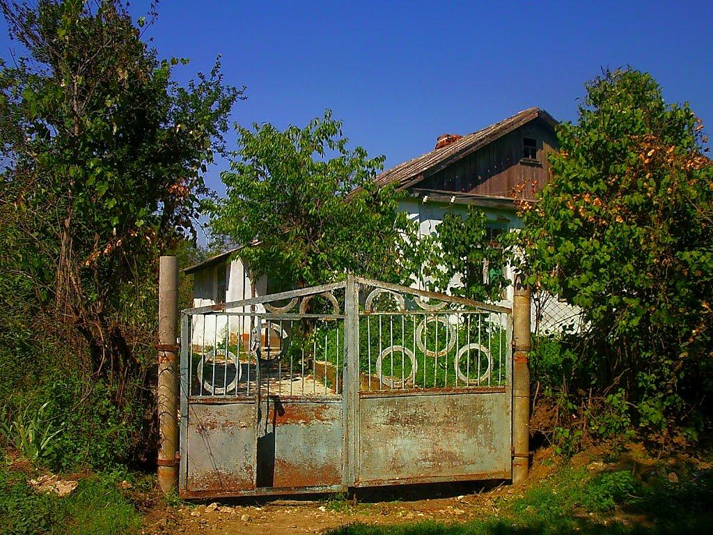 Плотинне з panoramio.com - Плотинное