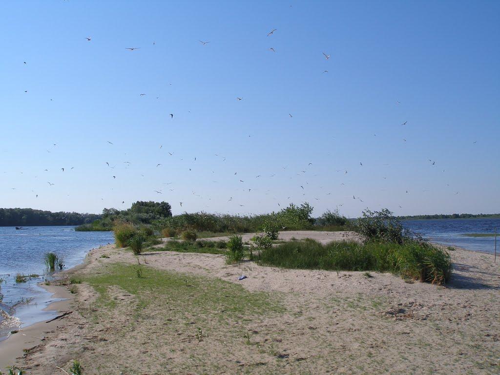 Лозівок з panoramio.com - Lozivok