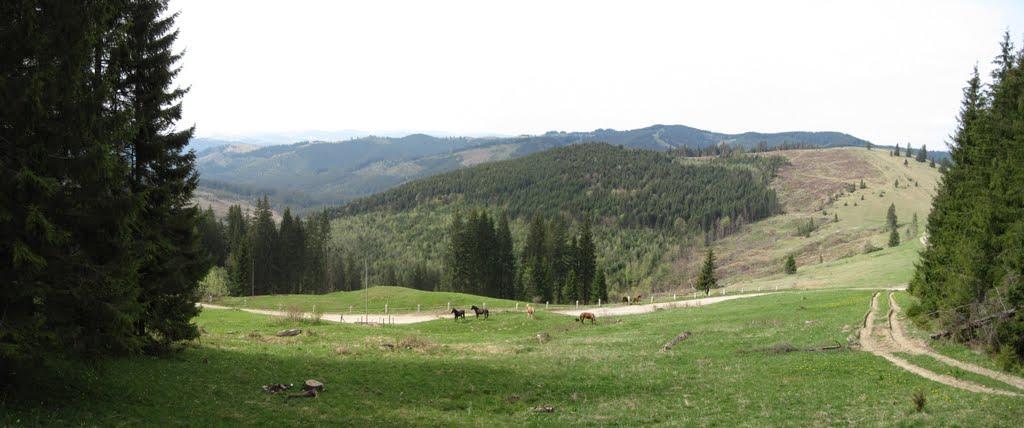 Фошки з panoramio.com - Фошки