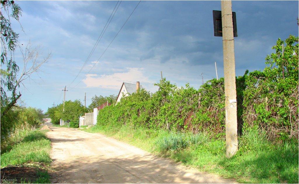 Галицинове з panoramio.com - Галициново