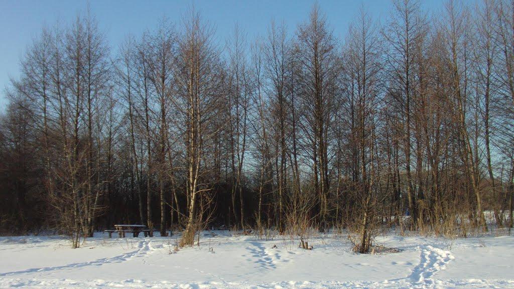 Шостка з panoramio.com - Шостка