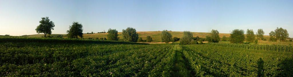 Черче з panoramio.com - Черче