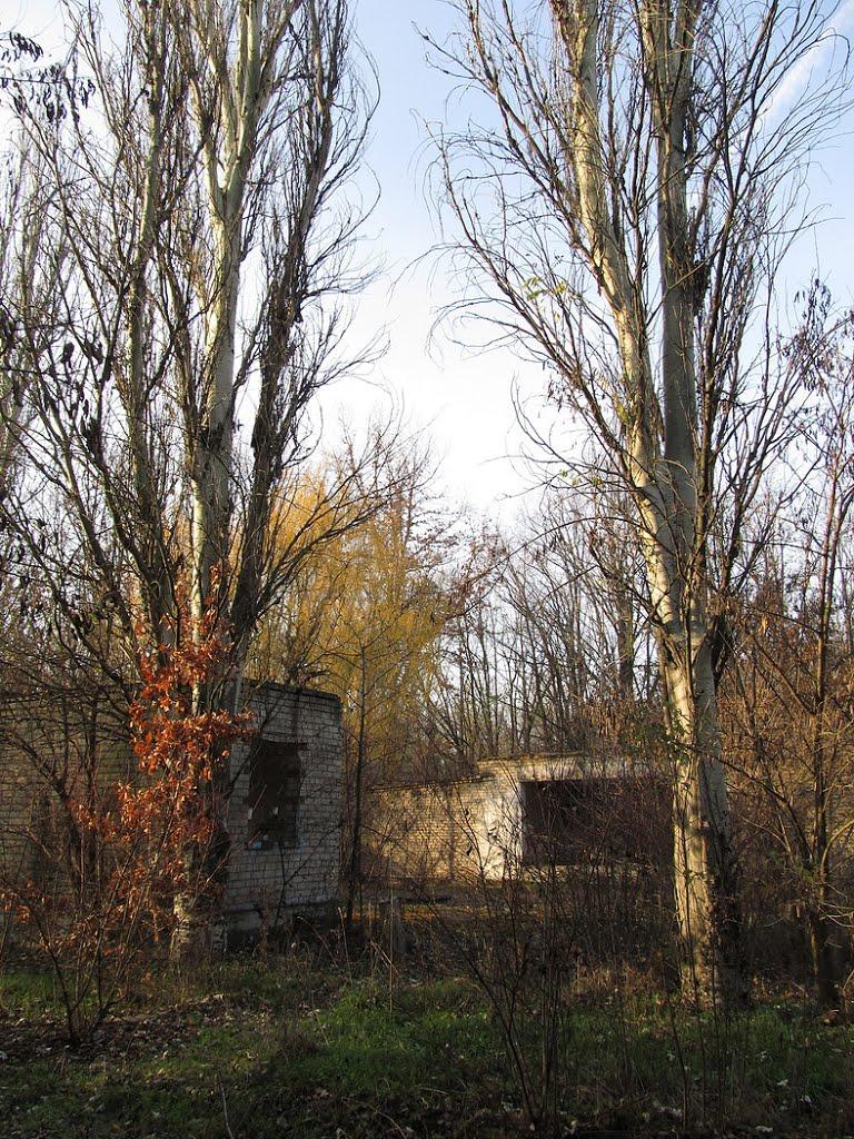 Інгулець з panoramio.com - Ингулец