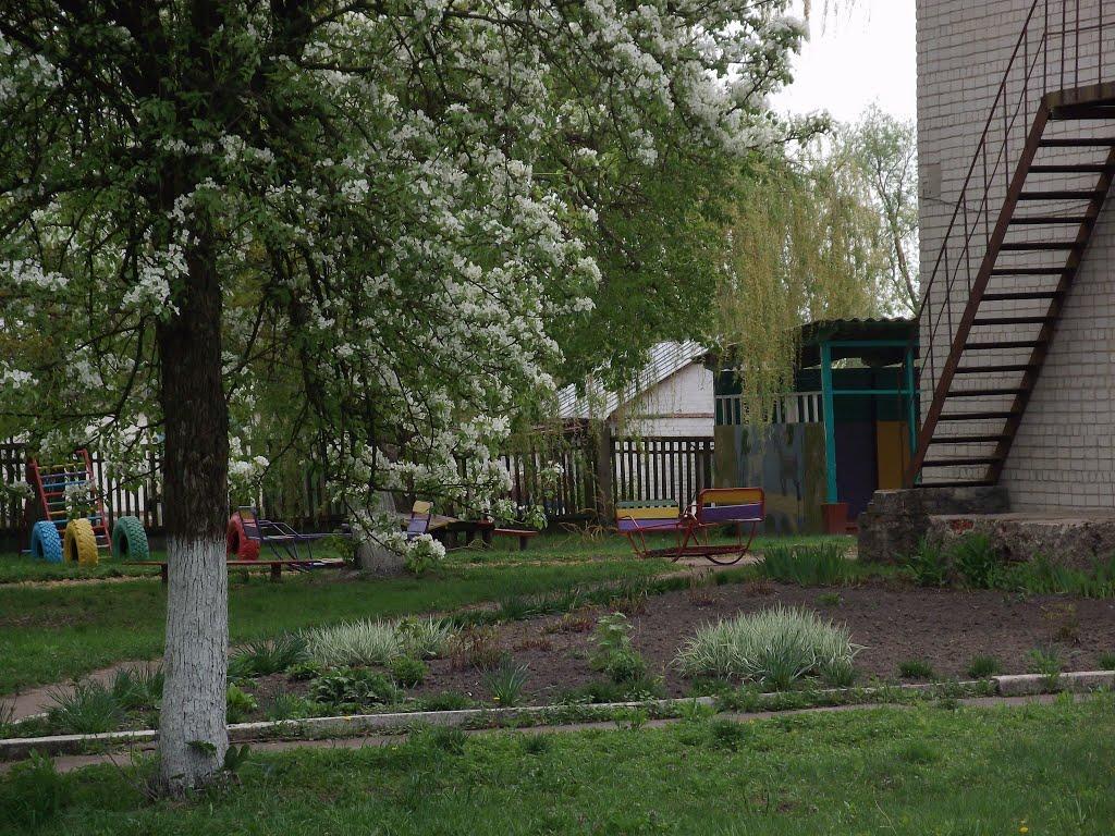 Виблі з panoramio.com - Виблі