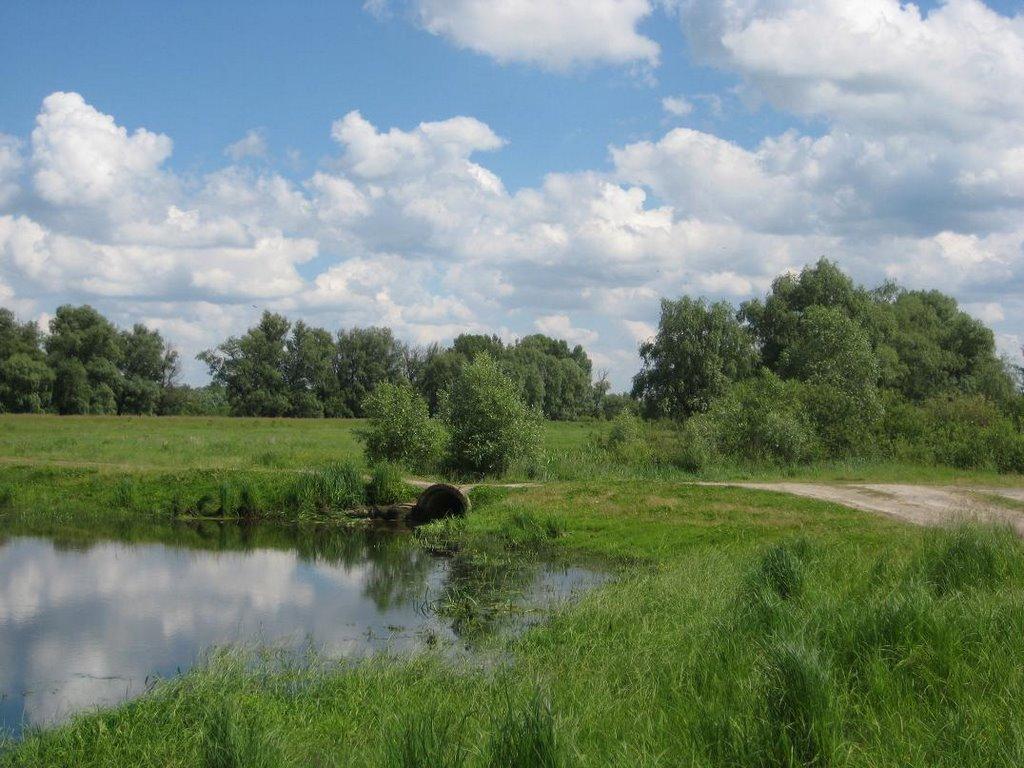 Жукин з panoramio.com - Жукин