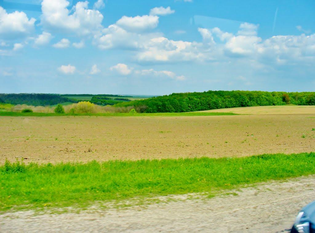 Мурзинці з panoramio.com - Мурзинцы