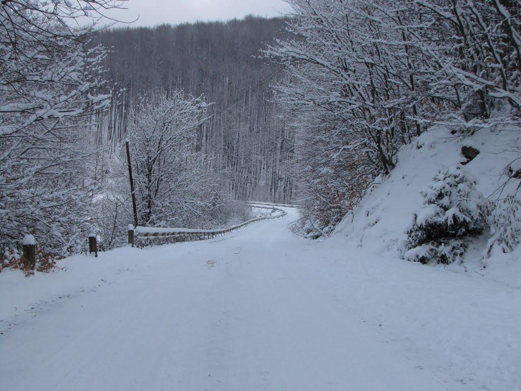 Плоскановиця з panoramio.com - Плоскановиця