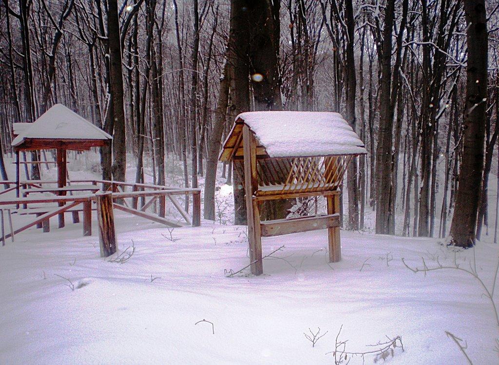 Йоничі з panoramio.com - Ионычи