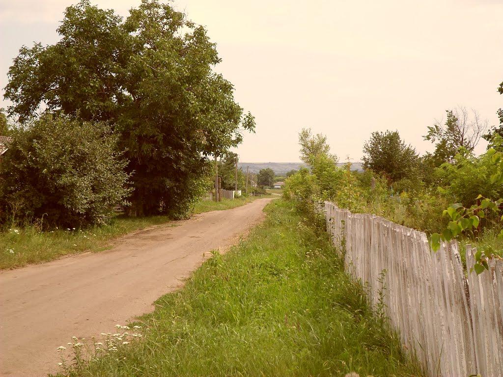 Луканівка з panoramio.com - Луканівка