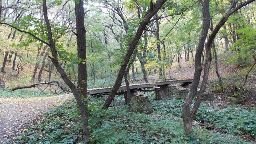 Ясенівський з panoramio.com - Ясенівський