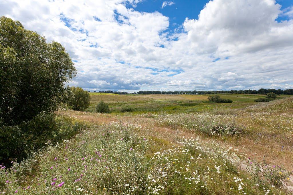 Харліївка з panoramio.com - Харлиевка