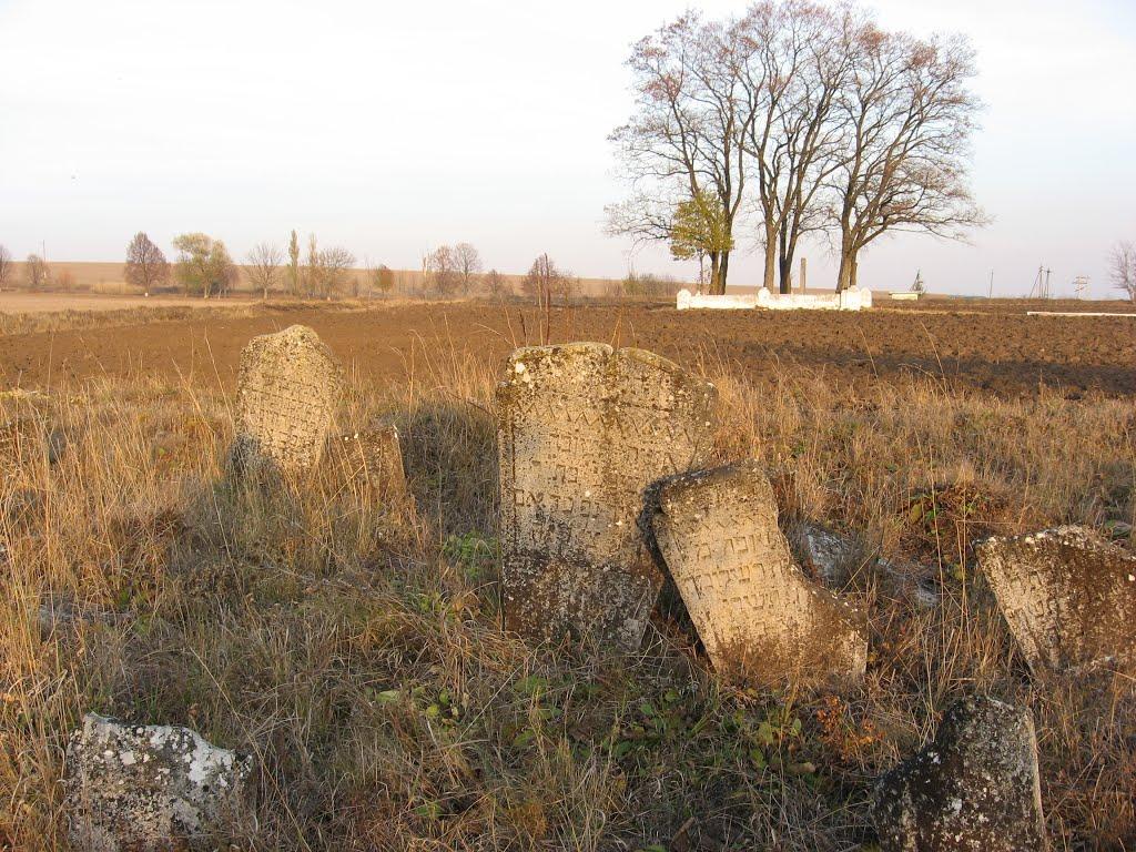 Купин з panoramio.com - Купин