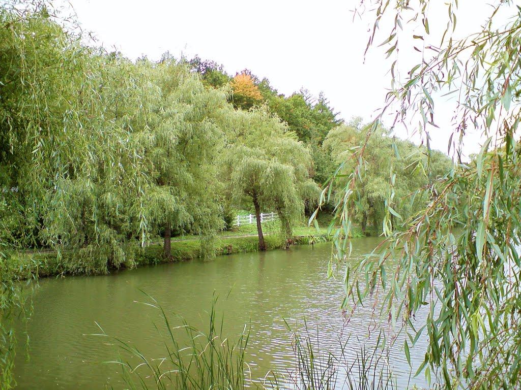 Рогачин з panoramio.com - Rogachyn