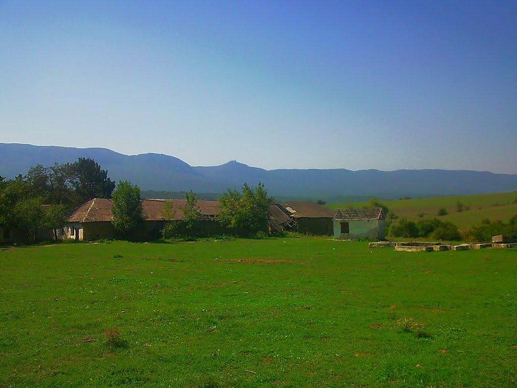 Плотинне з panoramio.com - Плотинное