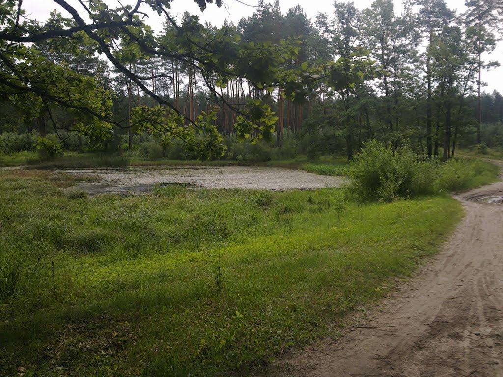 Михля з panoramio.com - Михля