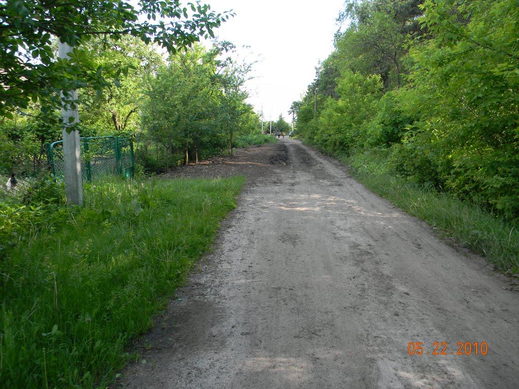 Глушицьке з panoramio.com - Глушицьке