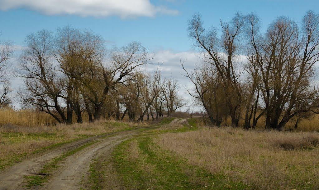Олексіївка з panoramio.com - Алексеевка