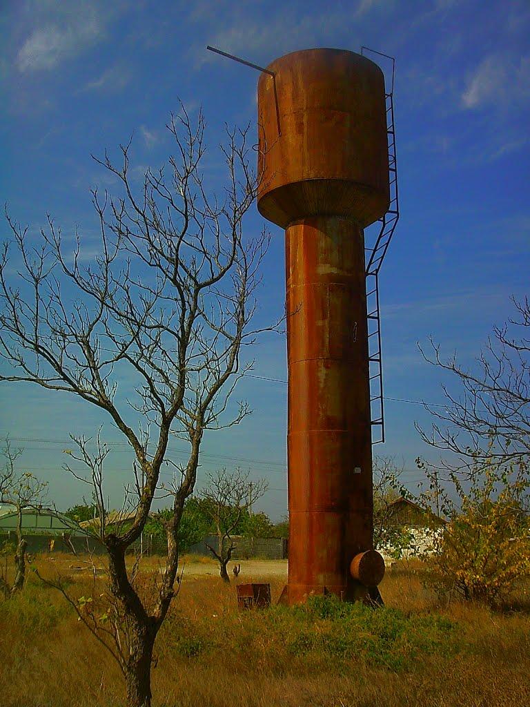 Шевченкове з panoramio.com - Шевченково