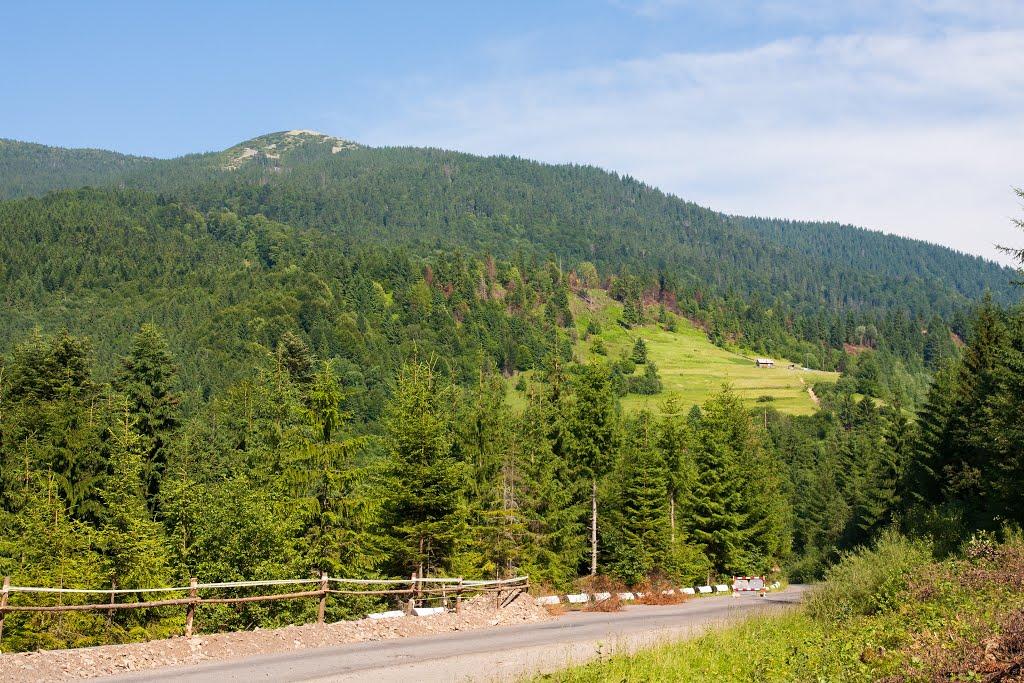 Стригальня з panoramio.com - Стригальня