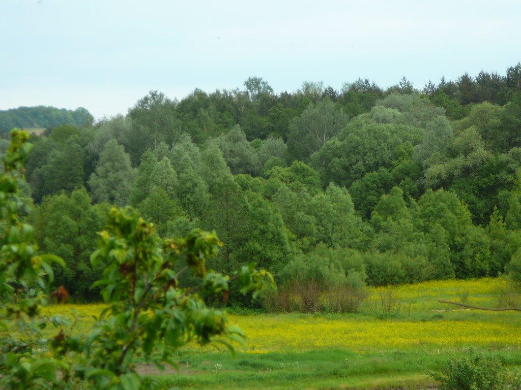 Тростянець з panoramio.com - Тростянец