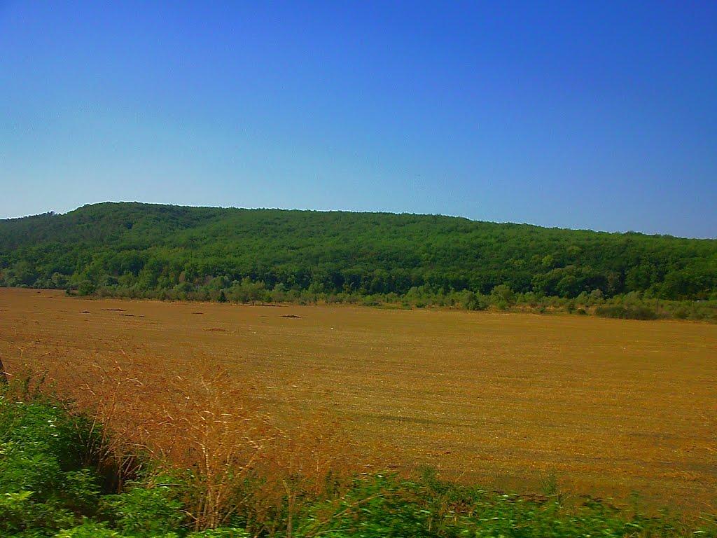 Каштанове з panoramio.com - Каштанове