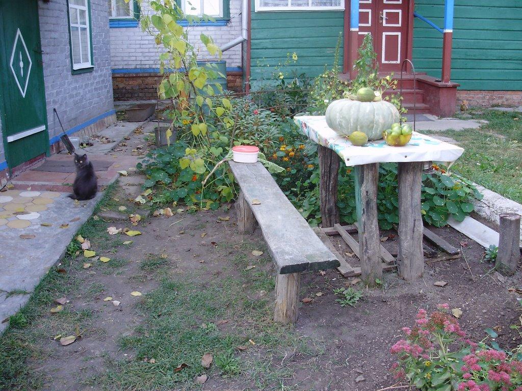 Малі Будища з panoramio.com - Малі Будища