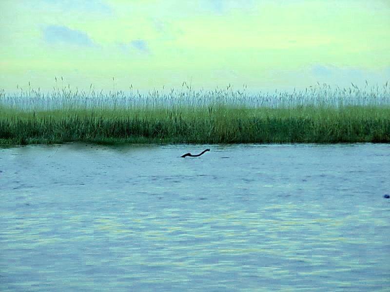 Маяки з panoramio.com - Маяки