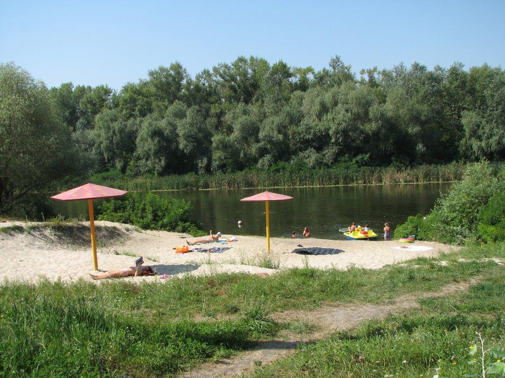 Кияшки з panoramio.com - Кияшки