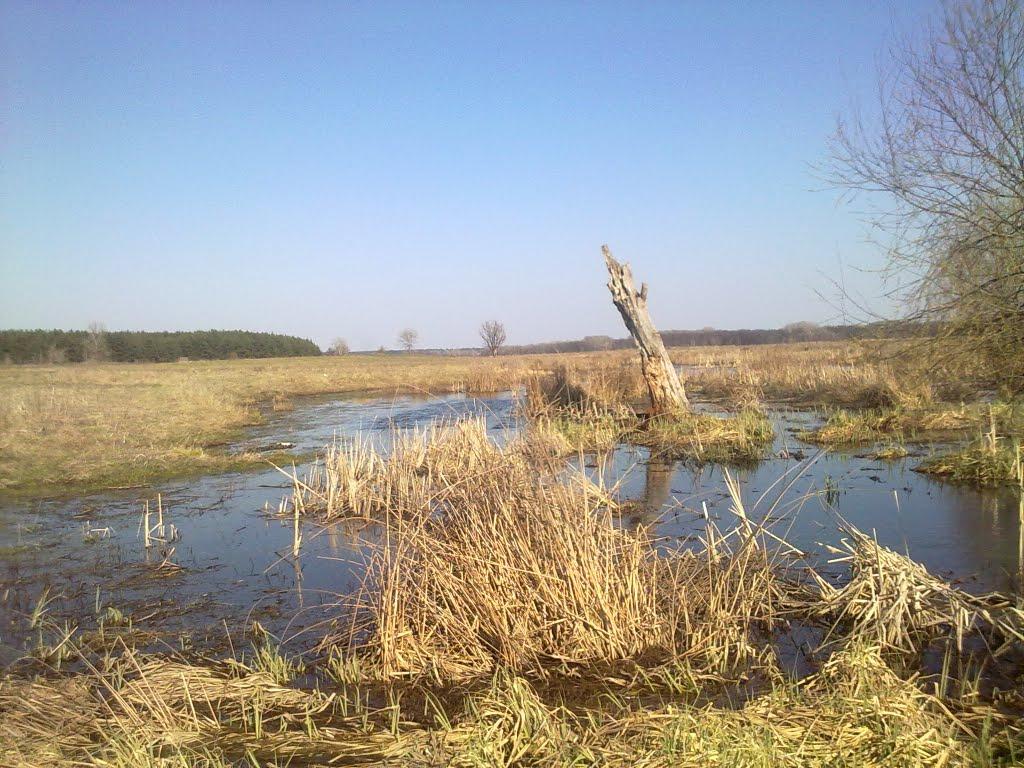 Маяки з panoramio.com - Маяки