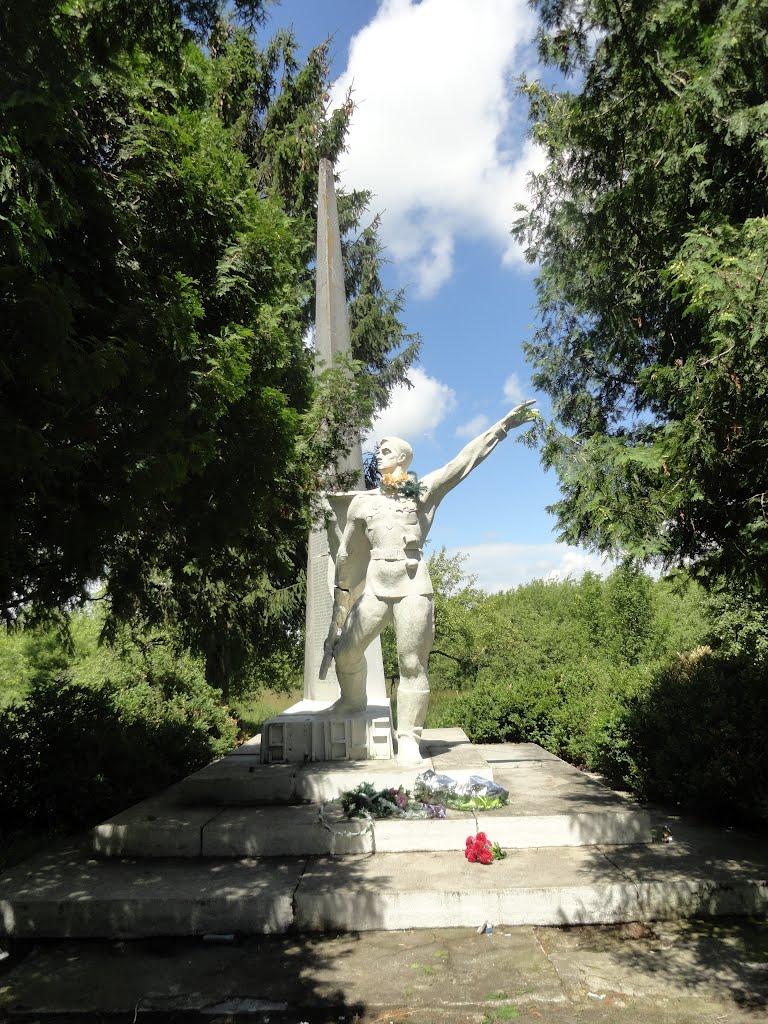 Крижівка з panoramio.com - Крижівка