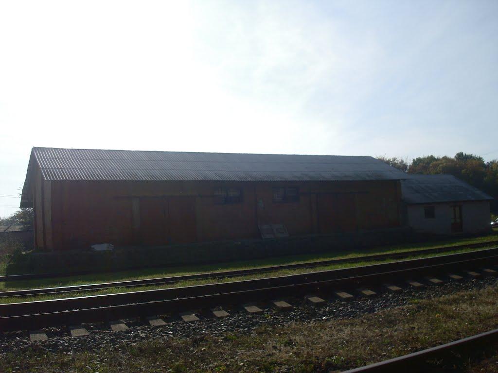 Лісоводи з panoramio.com - Лісоводи